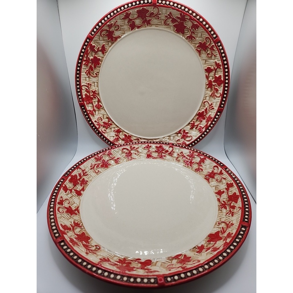 Temptations Floral Lace Dinner Plates -basket Weave PPP-HDL-956130